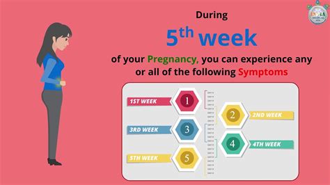 Body Changes And Pregnancy Symptoms At 5th Week Of Pregnancy Part 2