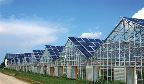Greenhouse Gets Ontarios Largest Rooftop Solar