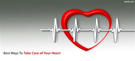 4 Best Ways To Take Care Of Your Heart
