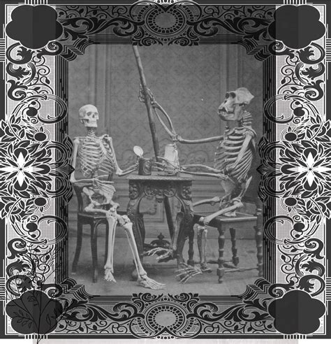 Vintage Halloween Skeletons Free Stock Photo Public Domain Pictures