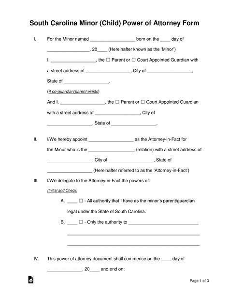 Free South Carolina Guardian Of Minor Power Of Attorney Form Word