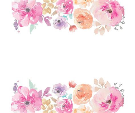 Watercolour Flower Frame Border Clip Art Graphic Design Png Floral