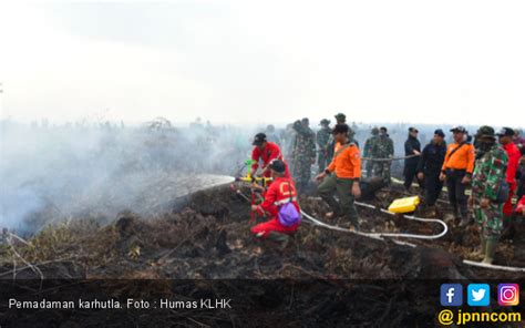 Pembakar Hutan Dan Lahan Di Kalimantan Selatan Diamankan Polisi