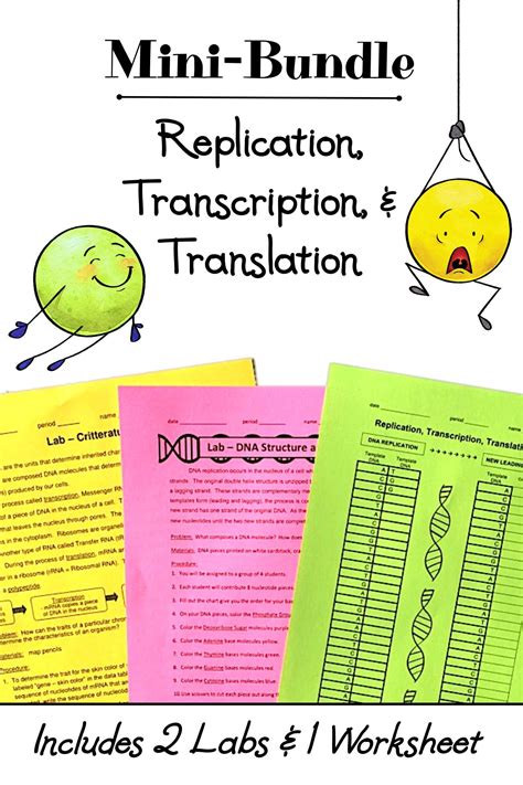 Savesave transcription translation practice worksheet for later. Replication, Transcription, and Translation Mini-Bundle - Activities + Worksheet | Transcription ...