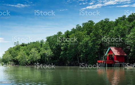 Red Spirit Shrine Surrounded With Green Mangle Tree In Thailand
