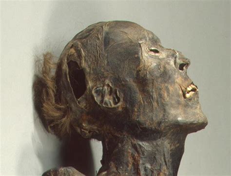 Scythian Mummy Tomb Fifth Pazyryk Kurgan Pazyryk Culture Th Rd C Bce