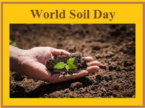 World Soil Day Celebration 05 December 2020 Keep Soil Alive Protect