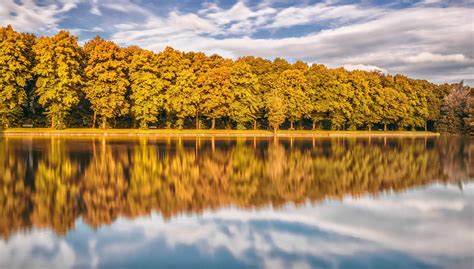 Free Picture Water Nature Landscape Tree Forest Autumn Cloud