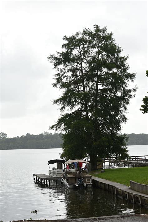 Lake St John Bonus Photos Pontoon And Deck Boat Magazine