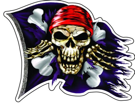 Jolly Roger Pirate Flag High Resolution Vinyl Decal Sticker Etsy
