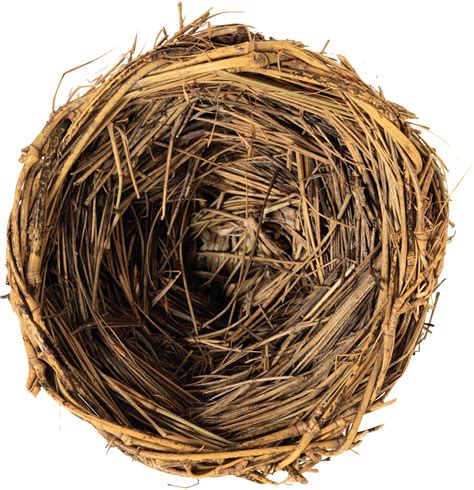 Birds Nest Png Free Logo Image