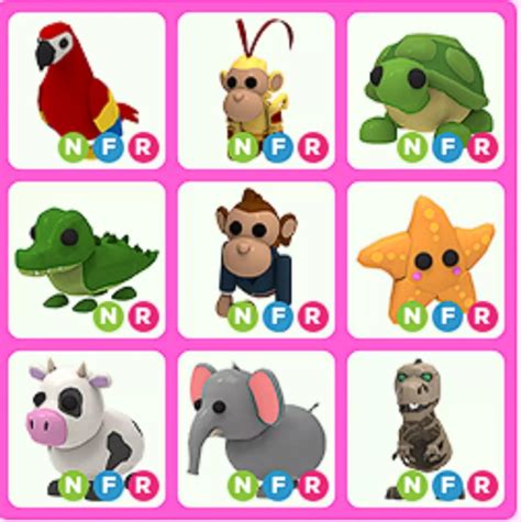 Adopt Me Pets Roblox All Kinds Of Item Neon Mega Fly Ride Nfr Mfr