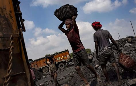 Coal India Stake Sale Govt Mulls Selling 5 Per Cent 10 Per Cent Stake