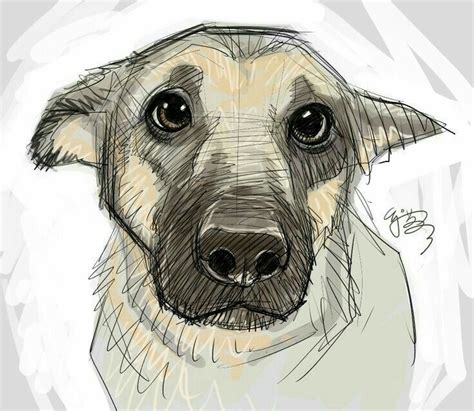 Pin By Delne Schoeman On Cool Drawings Dog Art Dog Drawing Animal