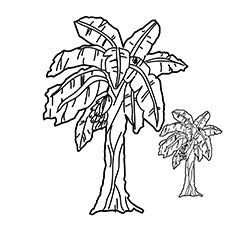 Check out our nice collection of the fruits and veggies coloring pictures worksheets.new fruits and veggies coloring pages added all. Banana Tree Coloring Page at GetColorings.com | Free ...
