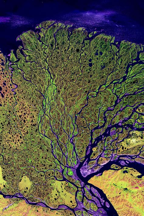 Lena River Delta Siberia Russia Russia ️ In 2019 Satellite