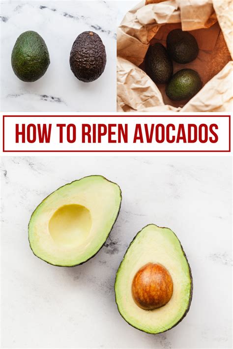 How To Ripen Avocados The Live In Kitchen