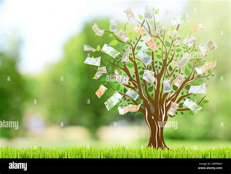 Money Tree With Grass On Blurred Natural Background Stock Photo Alamy