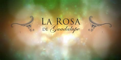 Vive día a día una nueva historia de fe. La Rosa de Guadalupe está entre los programas más vistos ...