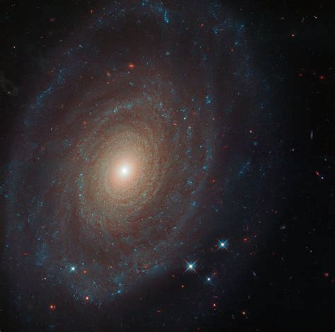 Ngc 2608 Galaxy The Umbrella Galaxy Ngc 4651 Spiral Galaxy In The