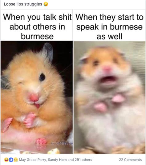 Weird Hamster Meme 2019