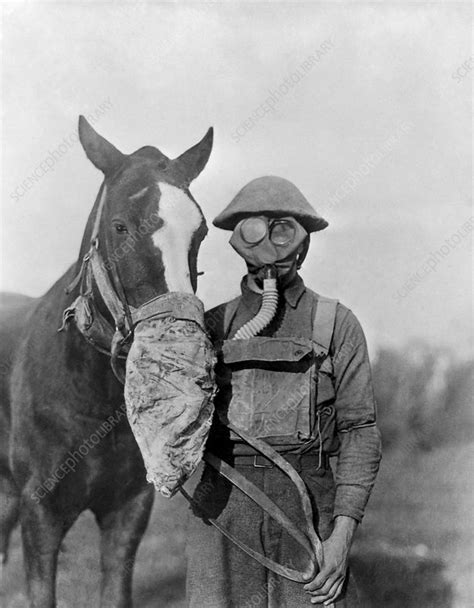 Wwi Gas Masks Stock Image C0194901 Science Photo Library