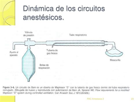 Dinámica De Los Circuitos Anestésicos