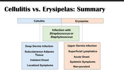 Cellulitis Vs Erysipelas Skin Specialist Drshilpy Akter Facebook