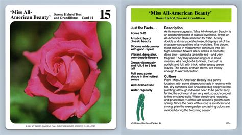 Miss All American Beauty 14 Roses My Green Gardens 1987 Cardmark Card