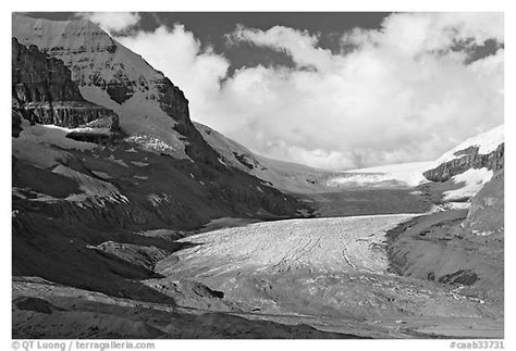 Black And White Picturephoto Athabasca Glacier Early Morning Jasper