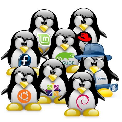 Chapter 3 Choosing A Linux Distribution — The Ultimate Linux Newbie Guide