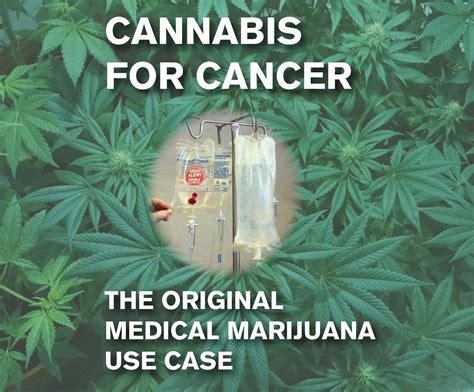 Cannabis For Cancer Periodic Edibles
