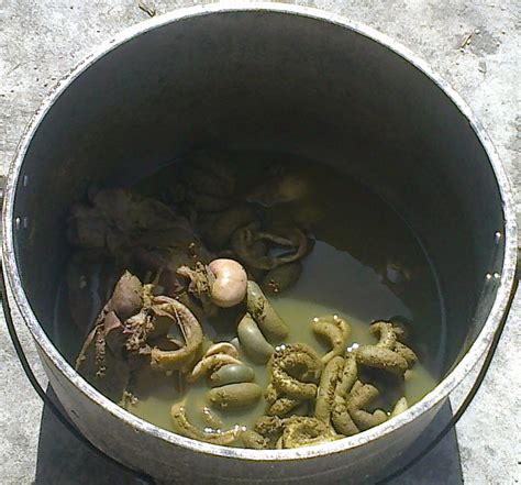 Dalikan Traditional Food Soup Pinapaitan Goat Pinapaitan