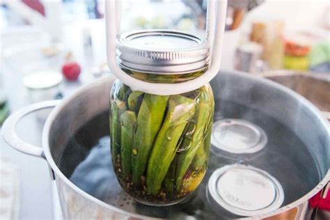 Place 1 garlic clove and, if desired, 1 hot pepper half in each hot jar. Pickled Okra | Recipe | Pickled okra, Okra, Best pickles