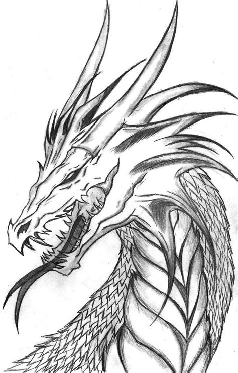 Topol Dragon Drawings Head Drawing 