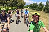 Photos of Marlborough Wine Tours By Bike