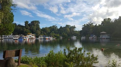 Silver Glen Springs Is The Perfect Natural Swimming Hole In Florida