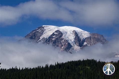 Mount Rainier National Park Trail Of Highways Washington State Travel