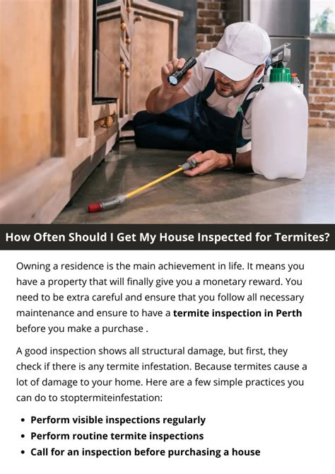 Ppt How Often Should I Get My House Inspected For Termites