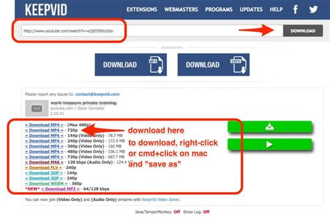 What is ovc youtube mp4 downloader? How To Download a Youtube Video