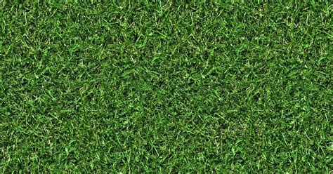 High Resolution Seamless Textures Grass 5 Seamless Turf Lawn Green