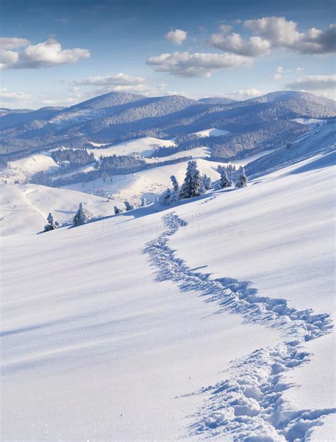 Trail In Deep Snow In The Winter Mountains Stock Image Image Of