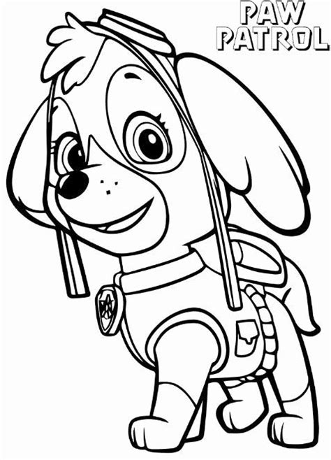 32 Paw Patrol Skye Coloring Page Paw Patrol Coloring Pages Paw Porn