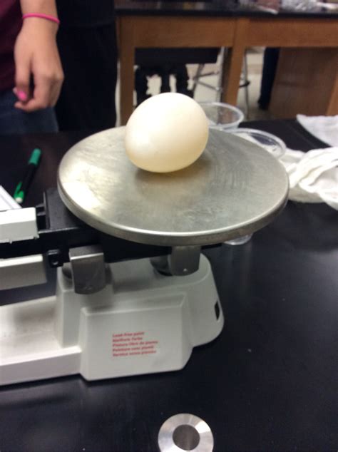 Osmosis Egg Project By Jennifer Pineda