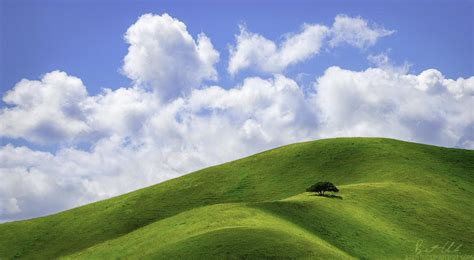 Californias Rolling Green Hills In The Springtime Photographs
