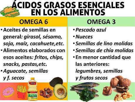 Como ya conocimos en el artículo dedicado a alimentos ricos en omega 6, lo cierto es que encontramos este tipo de grasas sobre todo en aceites vegetales. 15 Los alimentos ricos en Omega 6