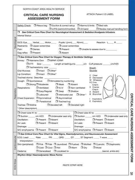 Free Printable Nursing Assessment Forms Printable Forms Free Online