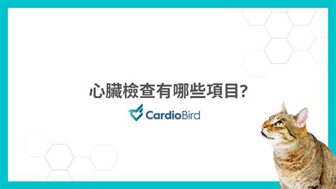 寵物心臟檢查都有哪些項目呢 Cardiobird Youtube