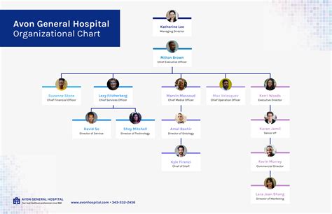 12 Organizational Chart Examples And Templates Venngage