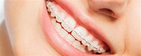 Regrowing Teeth Understanding Human Tooth Regeneration